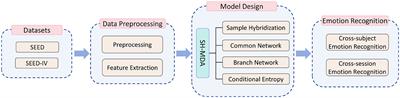 Multi-source domain adaptation for EEG emotion recognition based on inter-domain sample hybridization